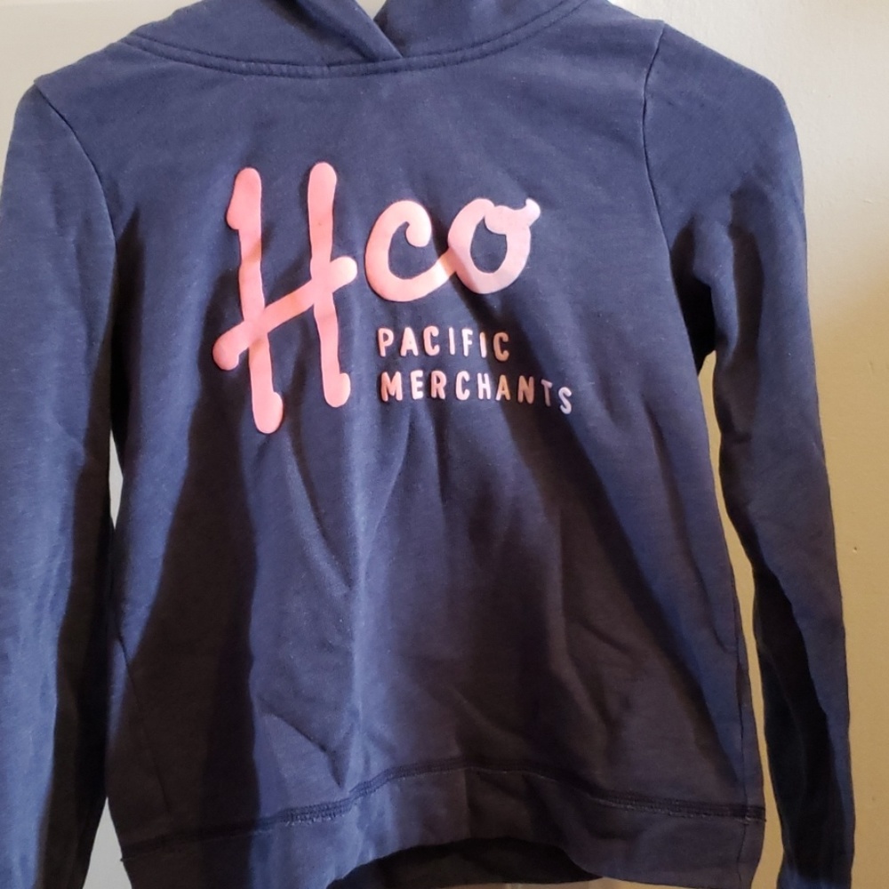 Hollister blue hoodie